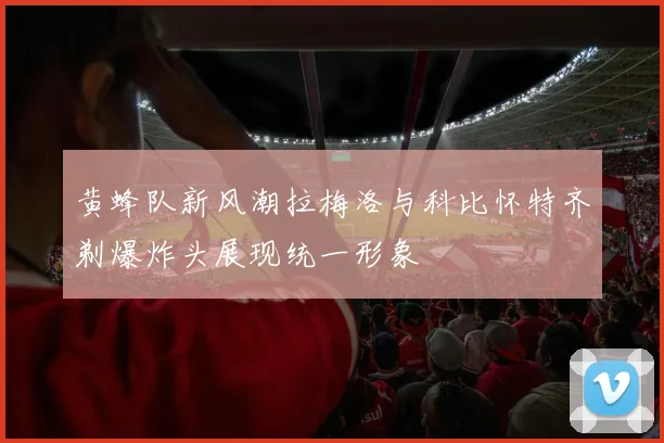 黄蜂队新风潮拉梅洛与科比怀特齐剃爆炸头展现统一形象