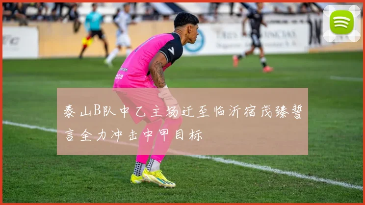 泰山B队中乙主场迁至临沂宿茂臻誓言全力冲击中甲目标
